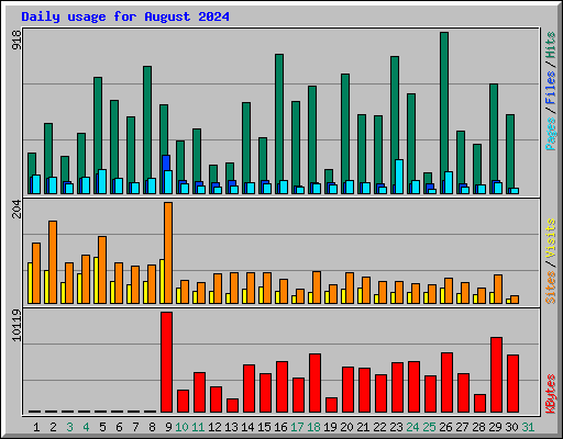 Daily usage for August 2024