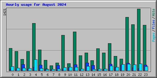 Hourly usage for August 2024